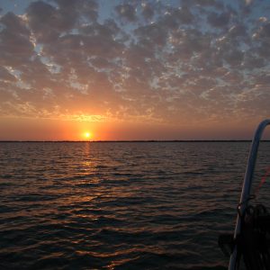 DSC_2955 DSC_2955